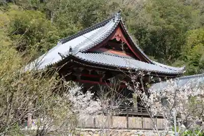 金常寺大石不動院の本殿・本堂