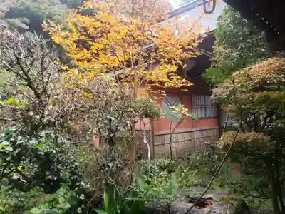 龍潭寺の本殿・本堂