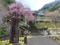 慈雲寺の{uncategorized: "未分類", other: "その他", undefined: "問題あり", building: "その他建物", grave: "お墓", sacred_gate: "鳥居", guardian: "狛犬", statue: "像", buddha: "仏像", history: "歴史", nature: "自然", garden: "庭園", animal: "動物", pagoda: "塔", temizu: "手水舎", mountain_gate: "山門・神門", sanctuary: "本殿・本堂", subordinate: "末社・摂社", art: "芸術", scenery: "景色", jizo: "地蔵", ema: "絵馬", goshuin: "御朱印", omikuji: "おみくじ", items: "授与品その他", amulet: "お守り", goshuincho: "御朱印帳", eats: "食事", festival: "お祭り", votive_dance: "神楽", shichigosan: "七五三参", wedding: "結婚式", experience: "体験その他", initially: "初詣", around: "周辺", anti_infection: "感染症対策"}