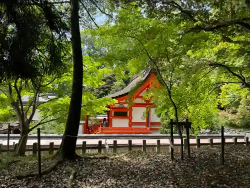出雲大神宮の{uncategorized: "未分類", other: "その他", undefined: "問題あり", building: "その他建物", grave: "お墓", sacred_gate: "鳥居", guardian: "狛犬", statue: "像", buddha: "仏像", history: "歴史", nature: "自然", garden: "庭園", animal: "動物", pagoda: "塔", temizu: "手水舎", mountain_gate: "山門・神門", sanctuary: "本殿・本堂", subordinate: "末社・摂社", art: "芸術", scenery: "景色", jizo: "地蔵", ema: "絵馬", goshuin: "御朱印", omikuji: "おみくじ", items: "授与品その他", amulet: "お守り", goshuincho: "御朱印帳", eats: "食事", festival: "お祭り", votive_dance: "神楽", shichigosan: "七五三参", wedding: "結婚式", experience: "体験その他", initially: "初詣", around: "周辺", anti_infection: "感染症対策"}