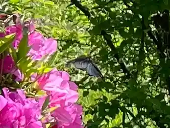 別府八幡宮(山口県)