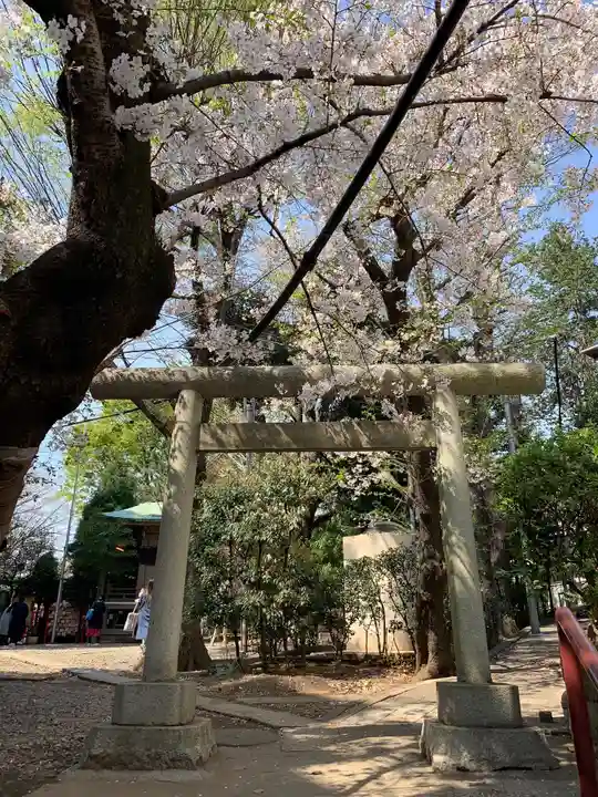 上目黒氷川神社の鳥居