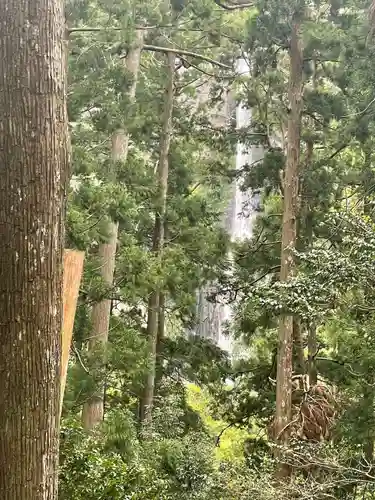 熊野那智大社(和歌山県)