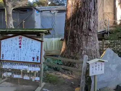 鹿島神宮(茨城県)