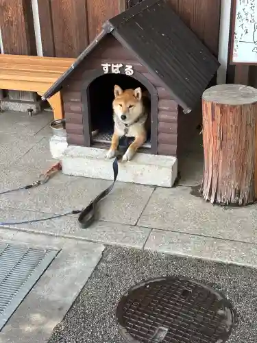 感通寺の{uncategorized: "未分類", other: "その他", undefined: "問題あり", building: "その他建物", grave: "お墓", sacred_gate: "鳥居", guardian: "狛犬", statue: "像", buddha: "仏像", history: "歴史", nature: "自然", garden: "庭園", animal: "動物", pagoda: "塔", temizu: "手水舎", mountain_gate: "山門・神門", sanctuary: "本殿・本堂", subordinate: "末社・摂社", art: "芸術", scenery: "景色", jizo: "地蔵", ema: "絵馬", goshuin: "御朱印", omikuji: "おみくじ", items: "授与品その他", amulet: "お守り", goshuincho: "御朱印帳", eats: "食事", festival: "お祭り", votive_dance: "神楽", shichigosan: "七五三参", wedding: "結婚式", experience: "体験その他", initially: "初詣", around: "周辺", anti_infection: "感染症対策"}