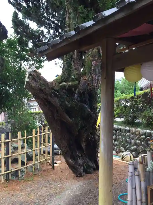 竹神社(三重県)