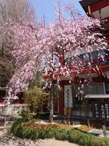 秩父神社の庭園