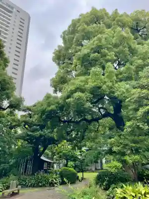 駒止稲荷神社(東京都)
