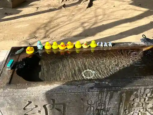 柏諏訪神社(千葉県)