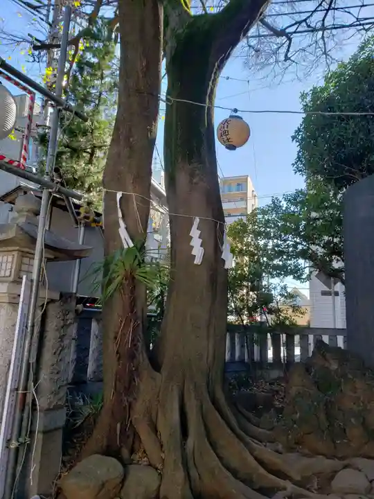 神明氷川神社の自然