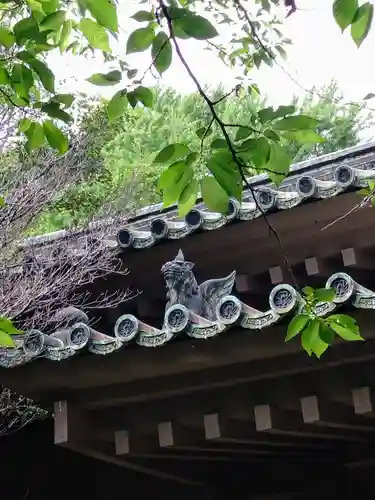 湯島聖堂(東京都)