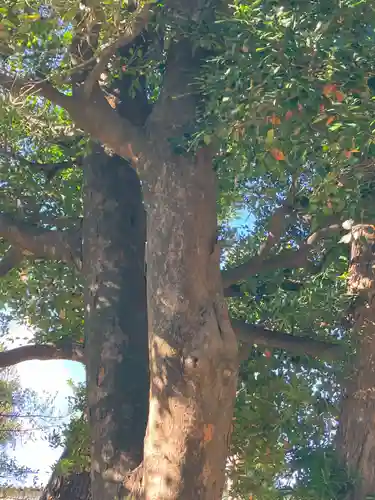 結神社(岐阜県)