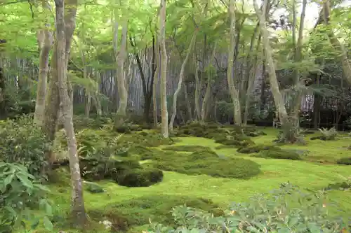 祇王寺(京都府)