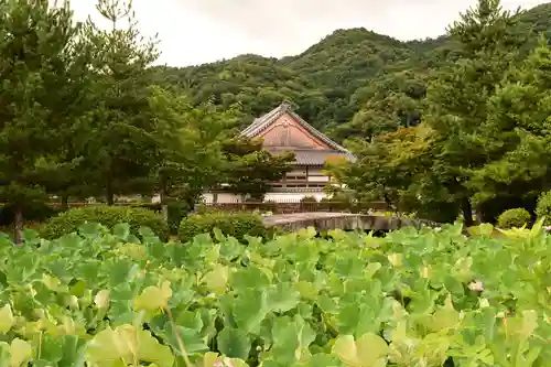 天龍寺(京都府)