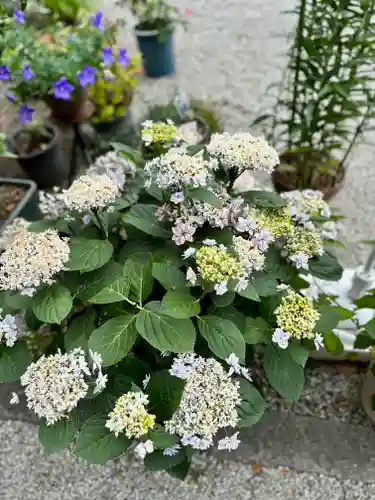 源九郎稲荷神社(奈良県)