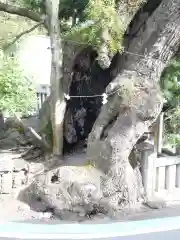 湯前神社(静岡県)