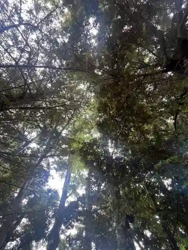 朝日森天満宮(栃木県)