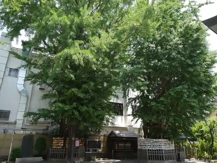 天祖神社の自然