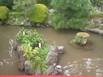 高幡不動尊　金剛寺(東京都)