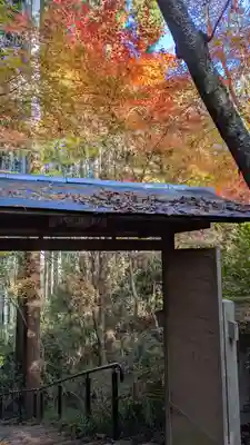 常照寺(京都府)