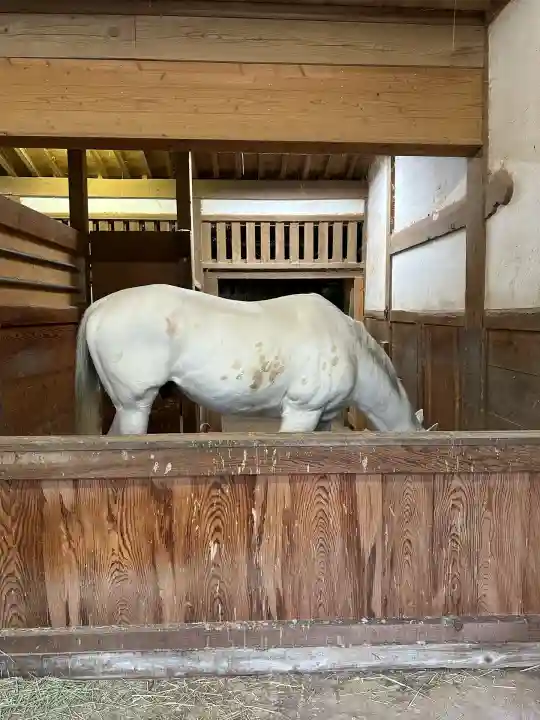 金刀比羅宮(香川県)