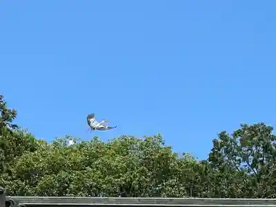 大生郷天満宮(茨城県)