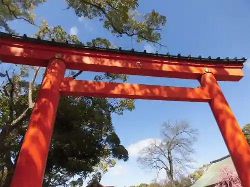 城南宮の鳥居