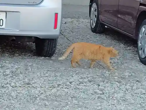 観性寺(群馬県)