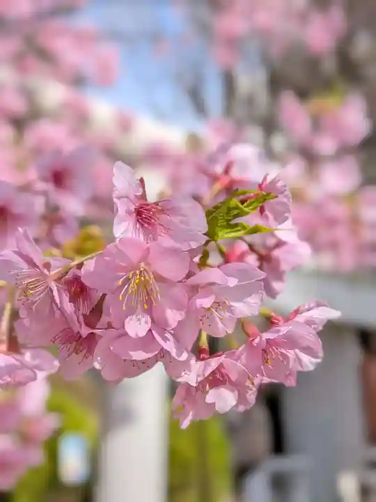 鳩森八幡神社(東京都)