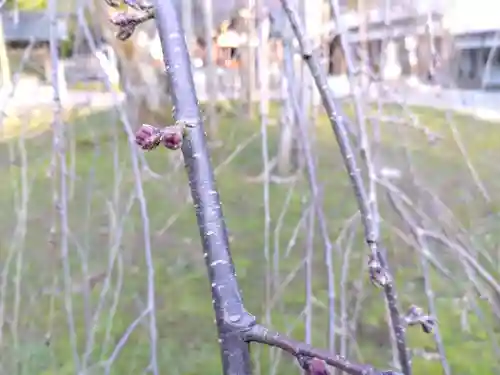 足羽神社(福井県)
