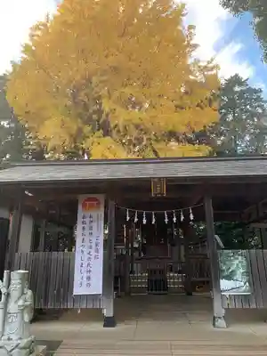 武州与野天祖神社(埼玉県)