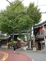 湯島天満宮(東京都)