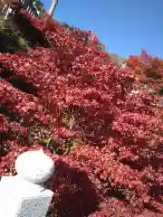 大山阿夫利神社(神奈川県)