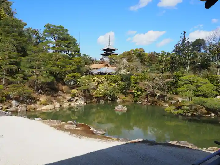 仁和寺の庭園