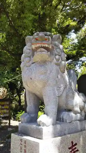 菊田神社の狛犬