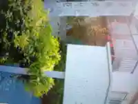 石神井神社(東京都)