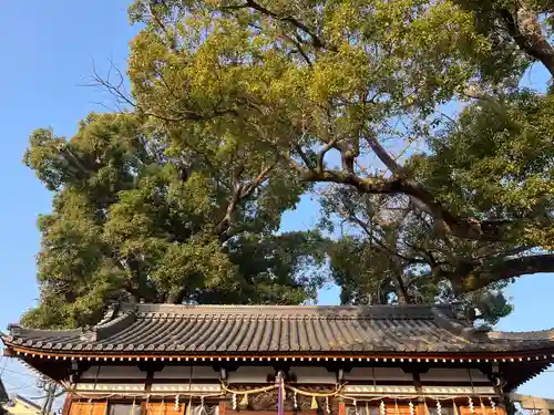阿保神社(大阪府)