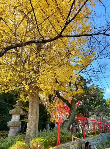 神炊館神社 ⁂奥州須賀川総鎮守⁂の自然