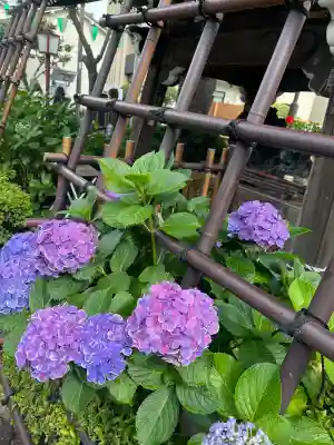 白山神社(東京都)