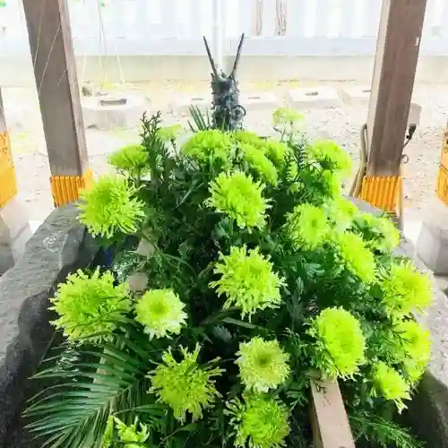 彌彦神社　(伊夜日子神社)の手水