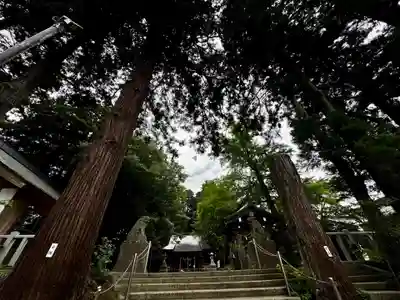 陸奥総社宮(宮城県)