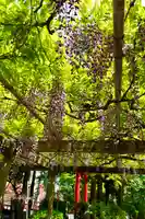 立木神社(滋賀県)