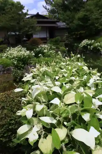両足院(京都府)