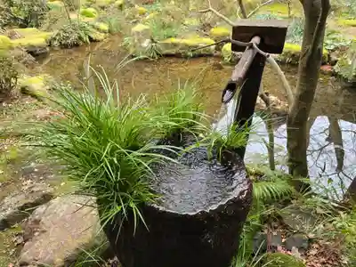 三千院門跡(京都府)