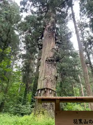 出羽神社(出羽三山神社)～三神合祭殿～(山形県)