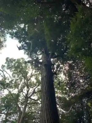 熊野神社(千葉県)