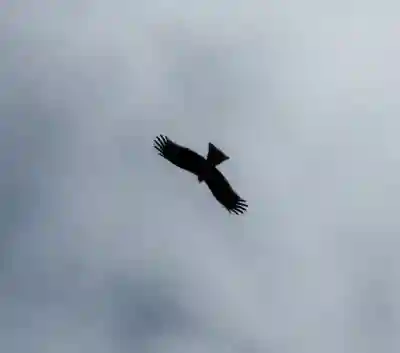 蛟蝄神社奥の宮の{uncategorized: "未分類", other: "その他", undefined: "問題あり", building: "その他建物", grave: "お墓", sacred_gate: "鳥居", guardian: "狛犬", statue: "像", buddha: "仏像", history: "歴史", nature: "自然", garden: "庭園", animal: "動物", pagoda: "塔", temizu: "手水舎", mountain_gate: "山門・神門", sanctuary: "本殿・本堂", subordinate: "末社・摂社", art: "芸術", scenery: "景色", jizo: "地蔵", ema: "絵馬", goshuin: "御朱印", omikuji: "おみくじ", items: "授与品その他", amulet: "お守り", goshuincho: "御朱印帳", eats: "食事", festival: "お祭り", votive_dance: "神楽", shichigosan: "七五三参", wedding: "結婚式", experience: "体験その他", initially: "初詣", around: "周辺", anti_infection: "感染症対策"}