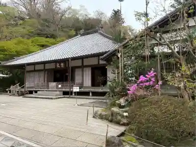 明月院の本殿・本堂