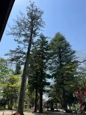 蠶養國神社(福島県)
