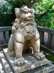 猿江神社の狛犬